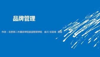 品牌管理 从战略到视觉呈现